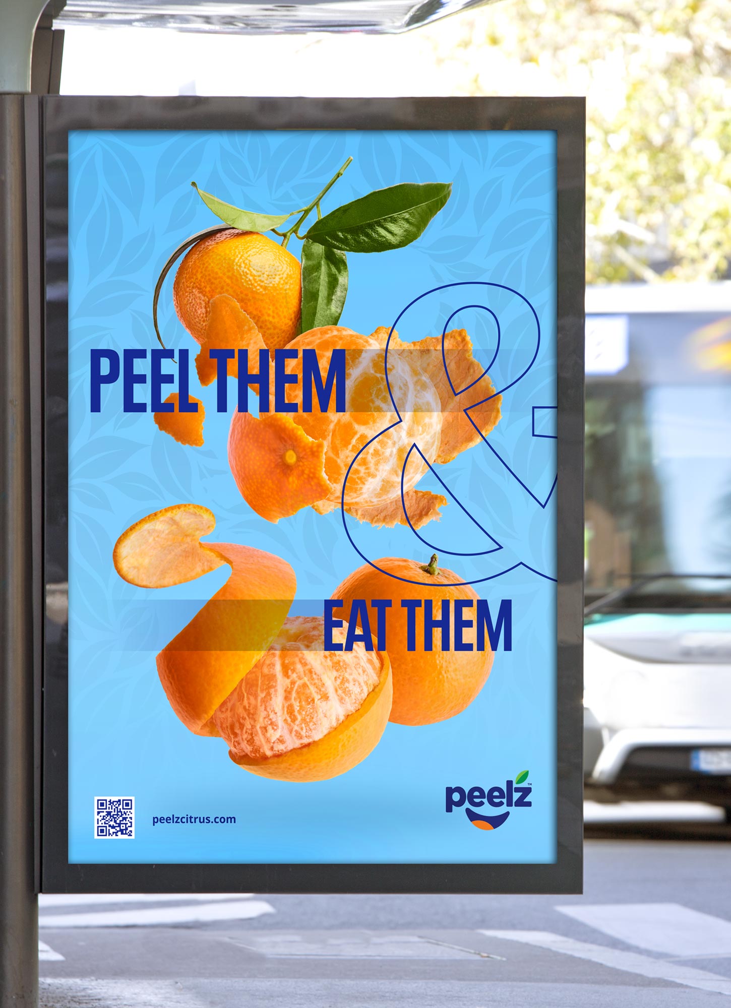 Peelz-bus-poster